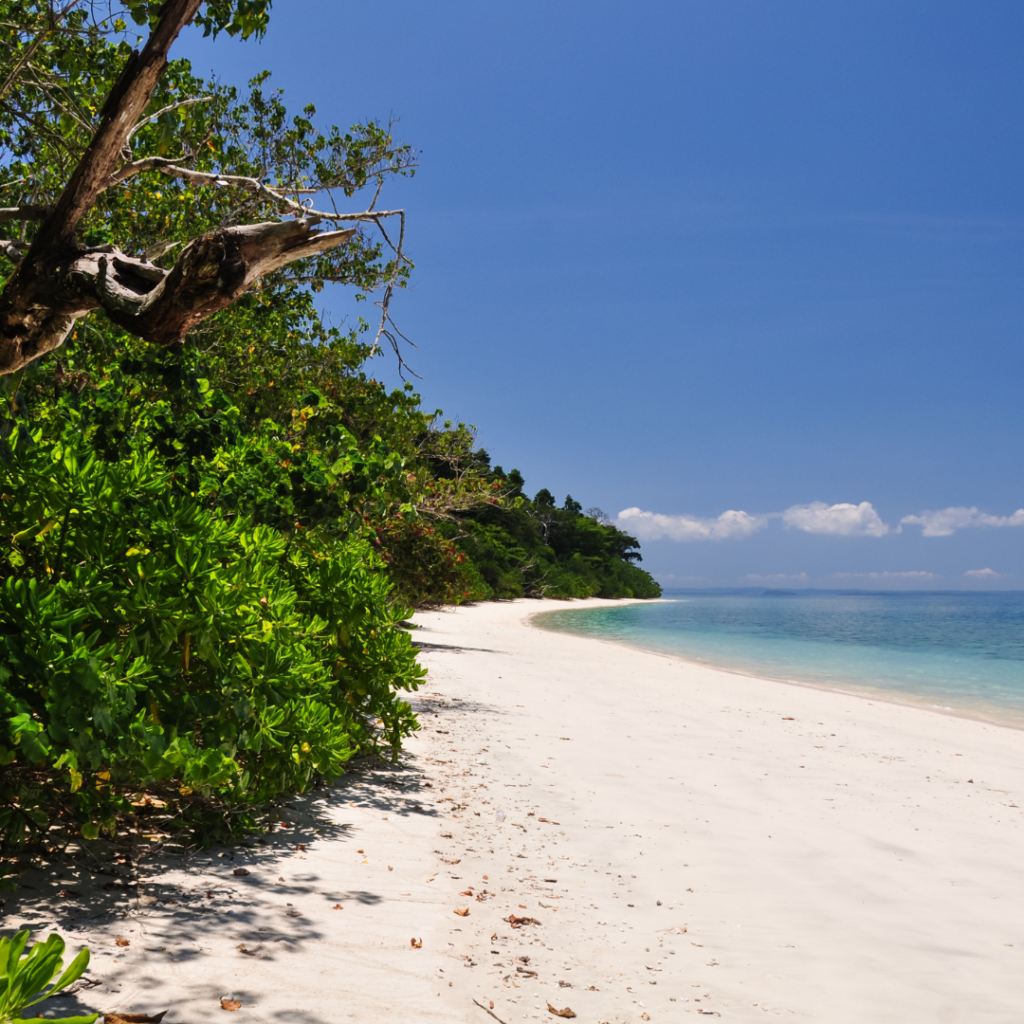 Collinpur beach